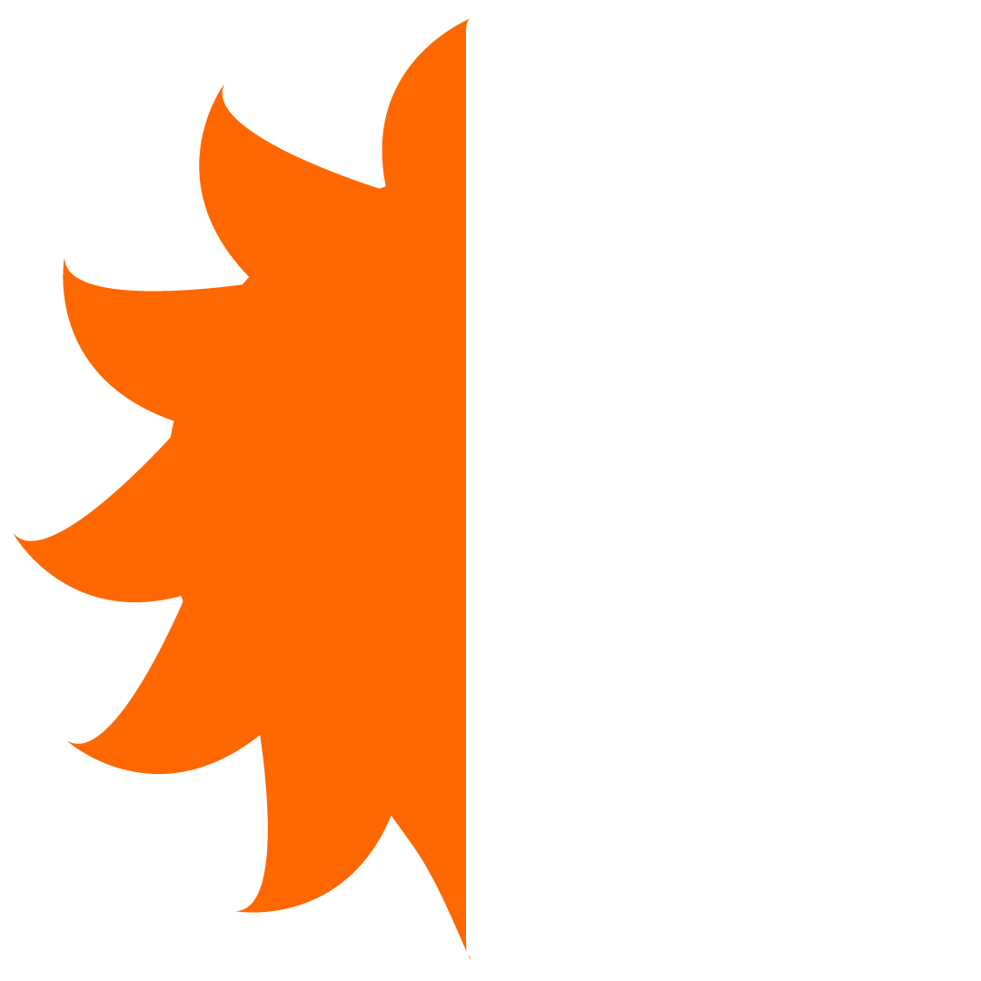 logo-ranieri-3-b